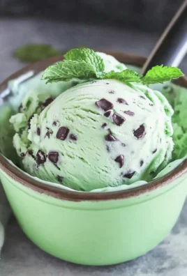 Ninja Creami Mint Chocolate Chip Ice Cream