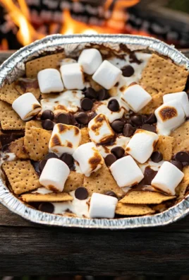 Campfire S’mores Nachos